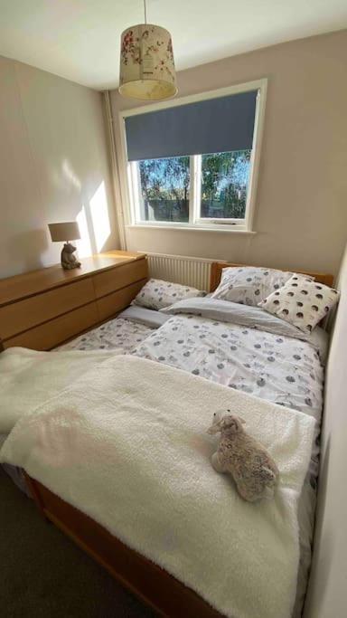 Cheerful 3 Bedroom Bungalow With Indoor Fire Place 글로스터 외부 사진